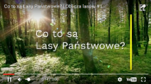 LEŚNA TELEWIZJA