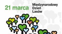 Las jest źródłem energii