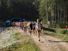 Bieg w sercu Lasów Cisowskich