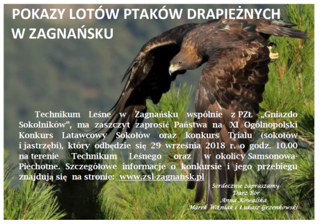 Pokaz lotów ptaków drapieżnych w Zagnańsku