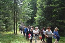 Leśna Droga Krzyżowa w 76. rocznicę pacyfikacji wsi Michniów