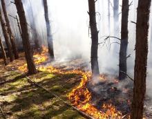Groźny pożar lasów na Mazowszu