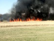 Groźny pożar łąk „naturowych” na Ponidziu