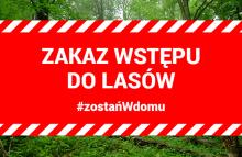 Tymczasowy zakaz wstępu do lasów