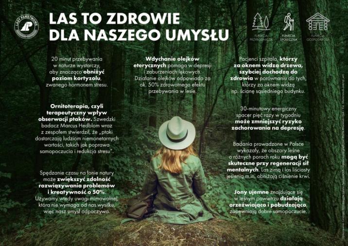 Infografika&#x20;informująca&#x20;o&#x20;korzyściach&#x20;płynących&#x20;z&#x20;przebywania&#x20;w&#x20;lesie&#x2c;&#x20;źródło&#x20;Centrum&#x20;Informacyjne&#x20;Lasów&#x20;Państwowych