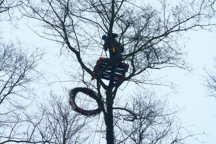 Budowa&#x20;platformy&#x20;gniazdowej&#x20;dla&#x20;bielika&#x2c;&#x20;fot&#x2e;&#x20;arch&#x2e;&#x20;Zespołu&#x20;Świętokrzyskich&#x20;i&#x20;Nadnidziańskich&#x20;Parków&#x20;Krajobrazowych