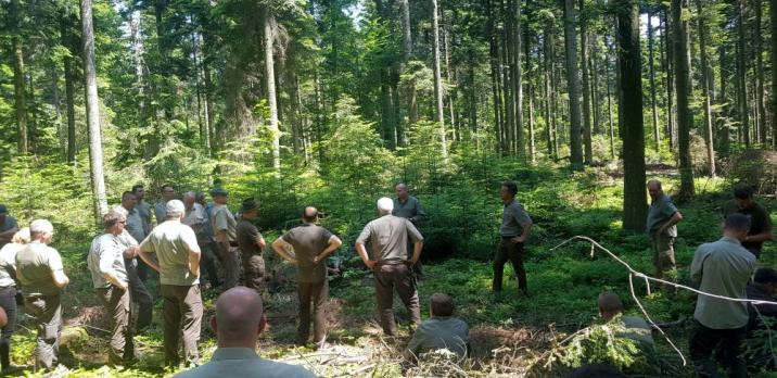 Leśnicy&#x20;podczas&#x20;szkolenia&#x20;z&#x20;tematyki&#x20;odnowień&#x20;naturalnych&#x20;w&#x20;Nadleśnictwie&#x20;Łagów&#x2c;&#x20;fot&#x2e;&#x20;Arnold&#x20;Gorycki