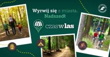 Wyrwij się z miasta do lasu dzięki czaswlas.pl