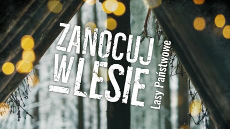 Zanocuj w lesie w regionie