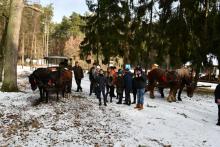 Ferie z „Arką” w Puszczy Kozienickiej