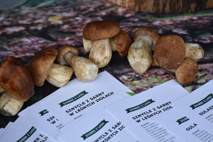 Podczas&#x20;wydarzenia&#x20;promowana&#x20;była&#x20;marka&#x20;Lasów&#x20;Państwowych&#x20;&#x22;Dobre&#x20;z&#x20;Lasu&#x22;