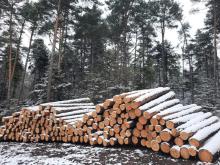 Komunikat dla odbiorców drewna posiadających aktywne umowy z jednostkami RDLP w Radomiu w sprawie certyfikacji gospodarki leśnej w systemie FSC