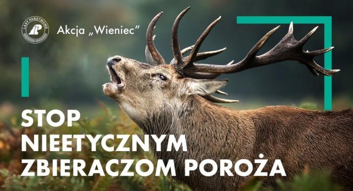 Akcja&#x20;&#x22;Wieniec&#x22;