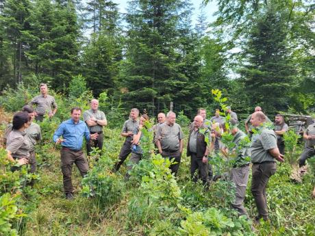 Szkolenie z pielęgnowania lasu wielofunkcyjnego