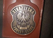 Straż Leśna podsumowała akcję „Jesień 23”