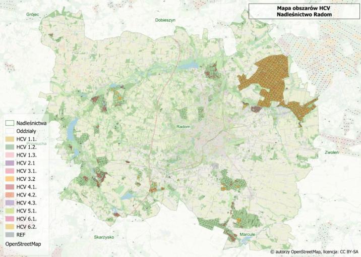 Przykładowa mapa powierzchni referencyjnych i HCV do konsultacji oprac. Daniel Sahajdak, RDLP w Radomiu